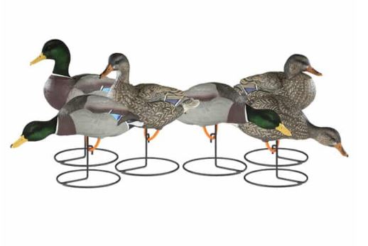 Dakota Decoy X-Treme Full Body Mallard Duck Decoys, 6 Pack