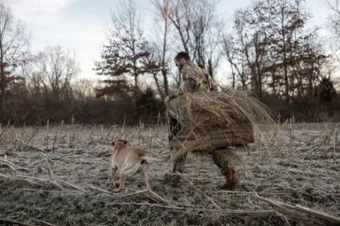 QUICK DRAW DOG BLIND