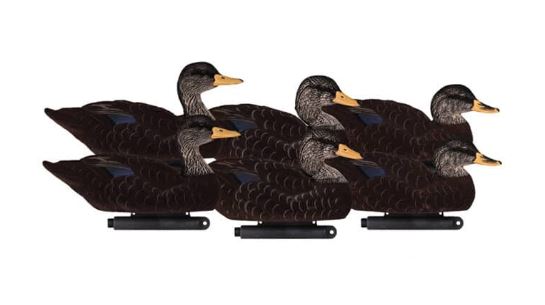 DAKOTA X-TREME FULLY FLOCKED BLACK DUCKS