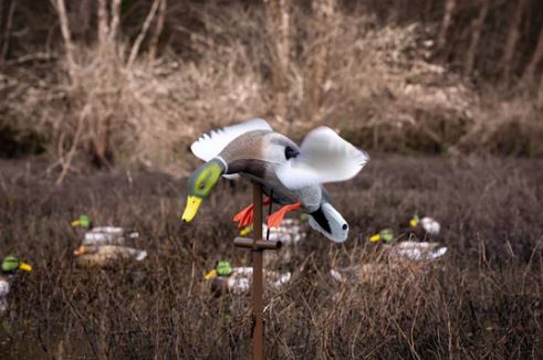 LEGACY MAG MALLARD
