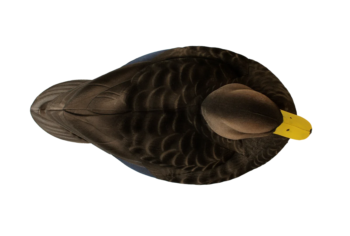 Hayday Decoys Hydro Foam Fully Flocked Black Ducks