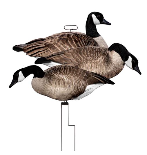 FLATS CANADA GOOSE MOTION SILHOUETTE