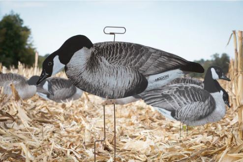 FLATS CANADA GOOSE MOTION SILHOUETTE