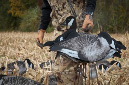 FLATS CANADA GOOSE MOTION SILHOUETTE
