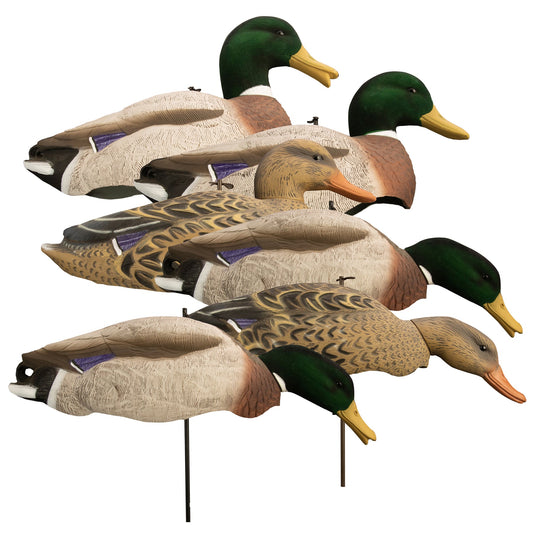 Magnum Full Form Shell Mallard, Variety Pk, Flocked Heads