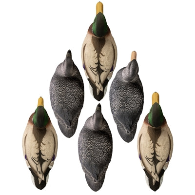 Battleship Powers' Pack