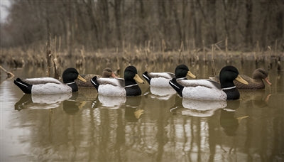 Magnum Mallard, Foam Filled, Fully Flocked