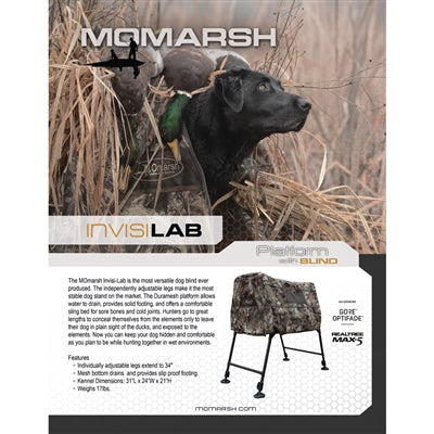 MOmarsh Invisi-Lab