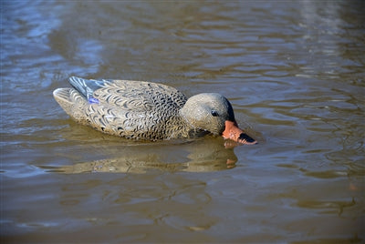 Battleship Swimmer PRO Mallard