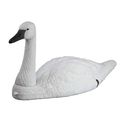 Tundra Swan (2pk)