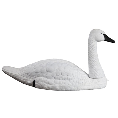 Tundra Swan (2pk)
