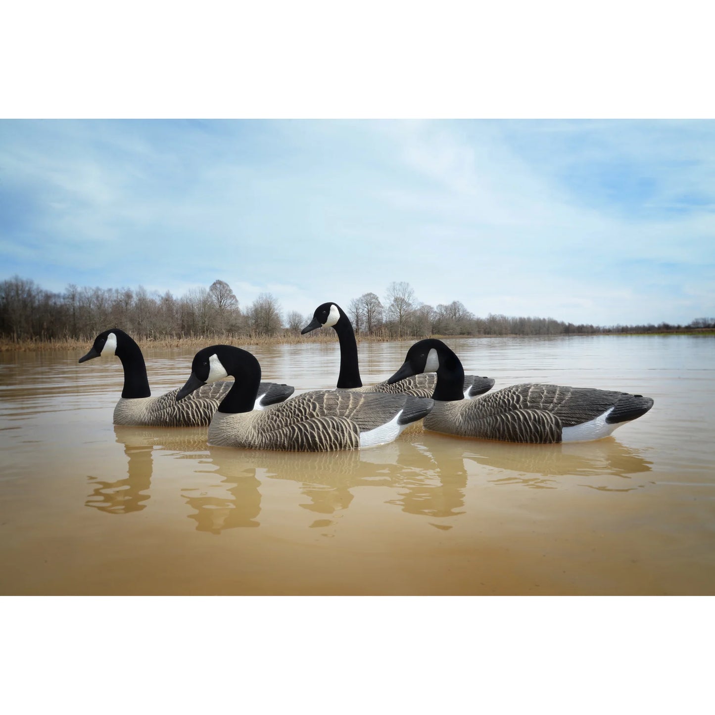 Full Size Goose Floater, Canada (4pk)