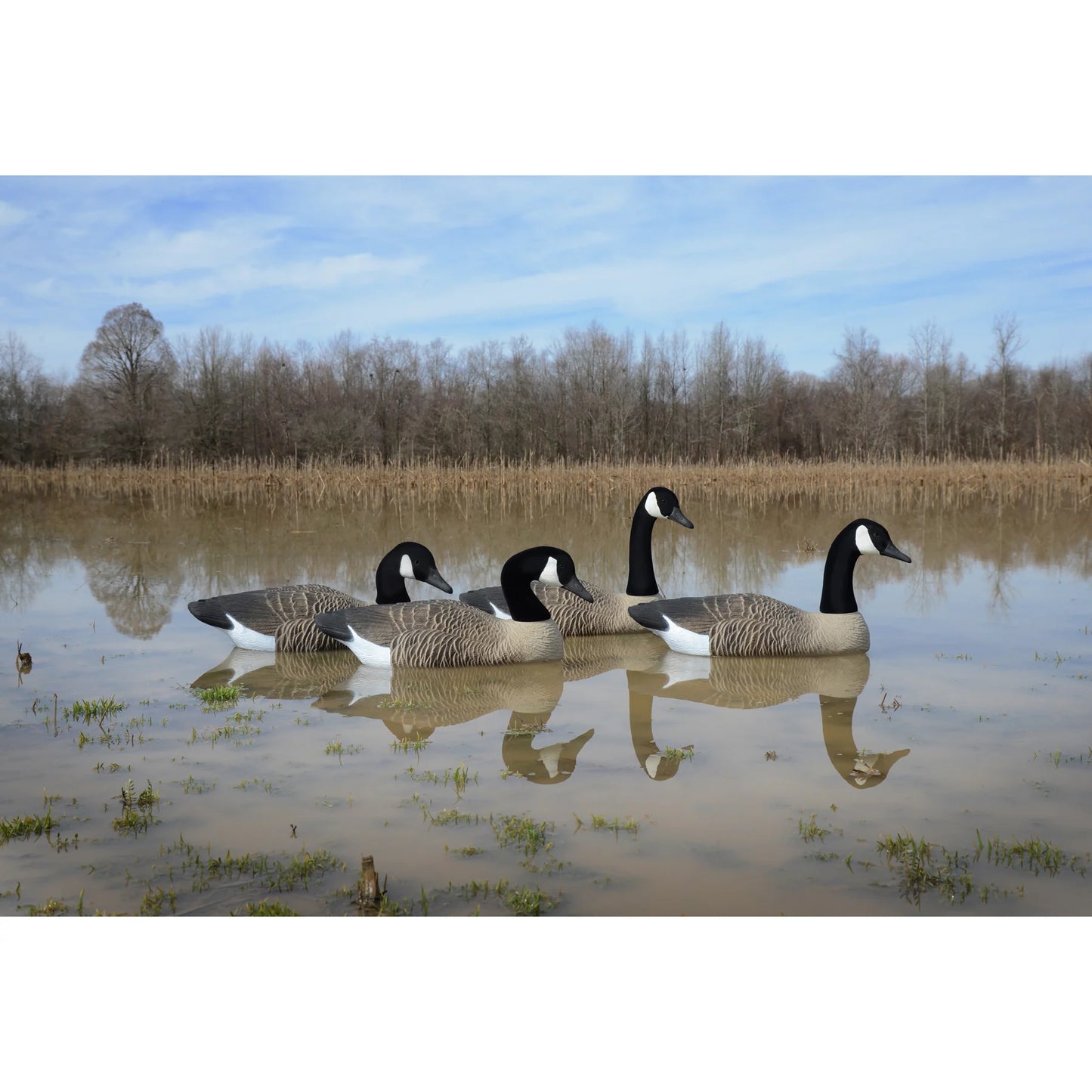 Full Size Goose Floater, Canada (4pk)