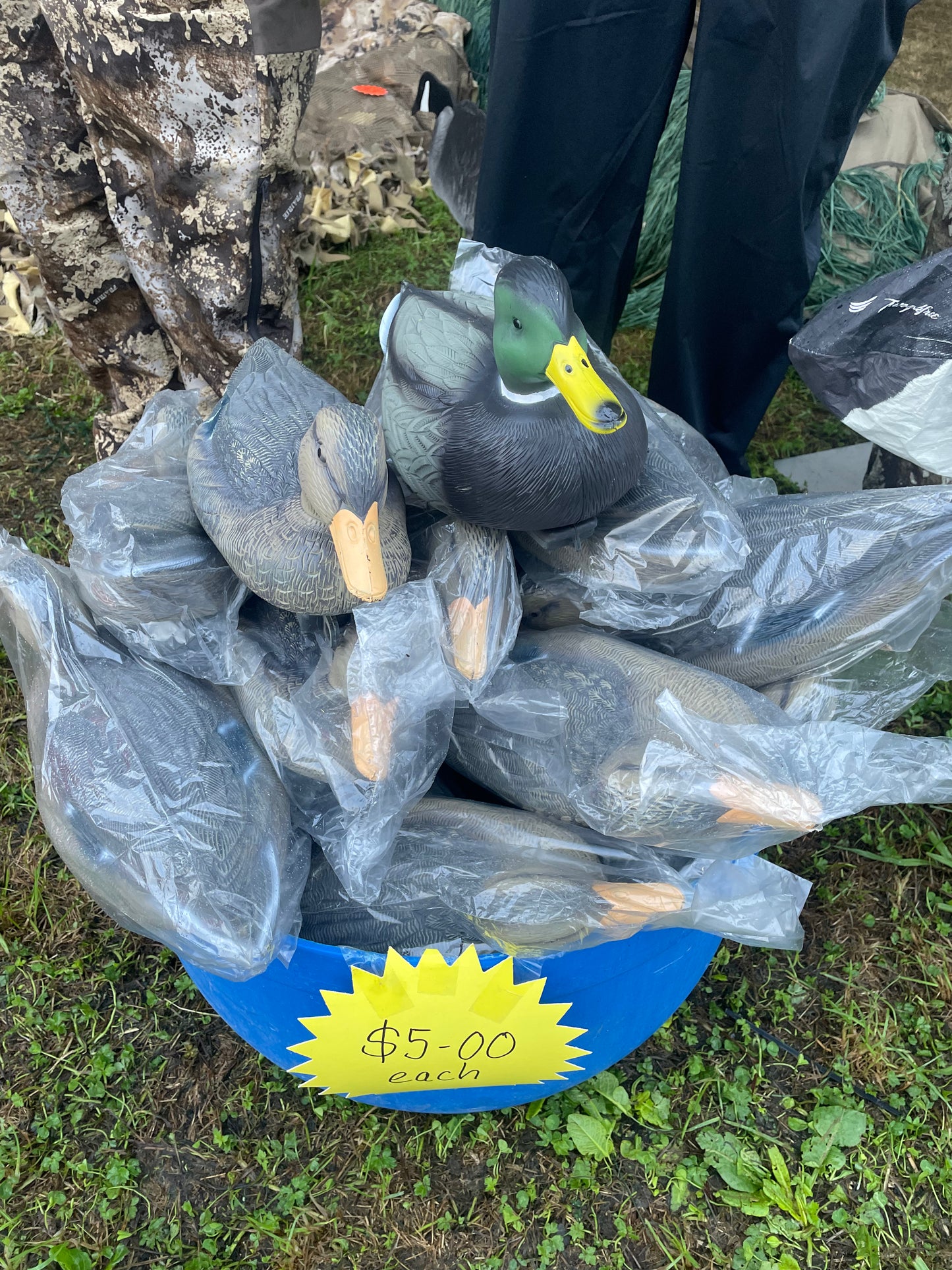 Duck Decoys