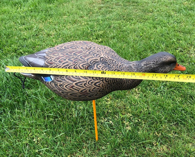 SX Full Body Mallard Duck Decoy Painted