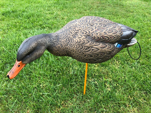 SX Full Body Mallard Duck Decoy Painted