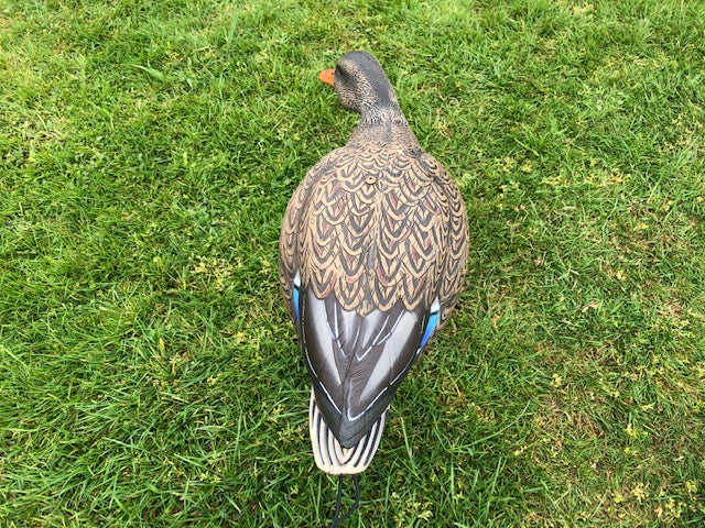 SX Full Body Mallard Duck Decoy Painted