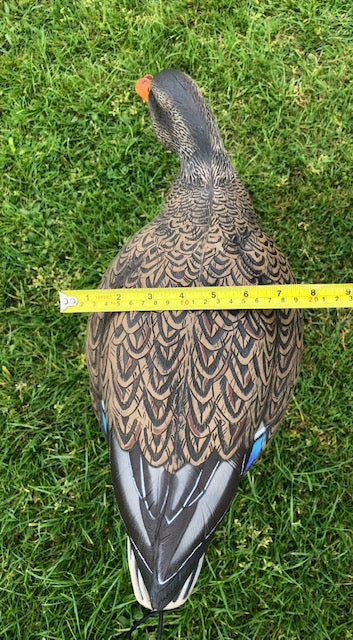 SX Full Body Mallard Duck Decoy Painted