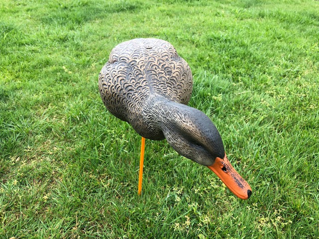 SX Full Body Mallard Duck Decoys Flocked Heads