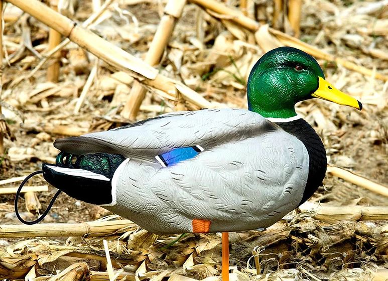 SX Full Body Mallard Duck Decoy Painted