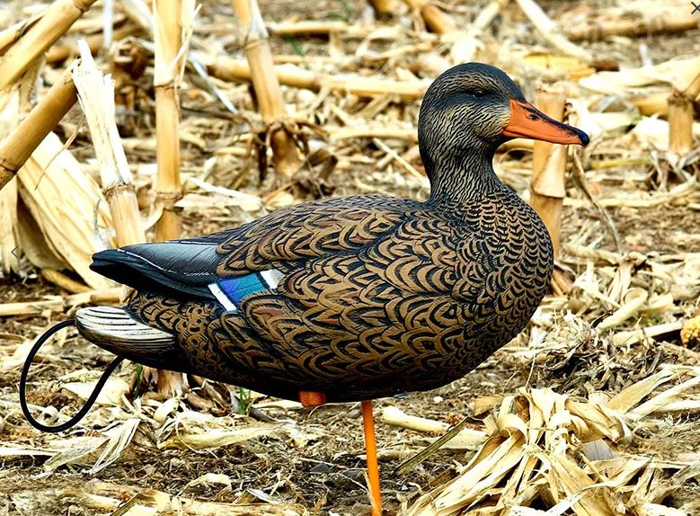 SX Full Body Mallard Duck Decoy Painted
