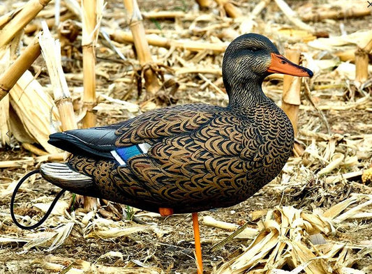 SX Full Body Mallard Duck Decoy Painted
