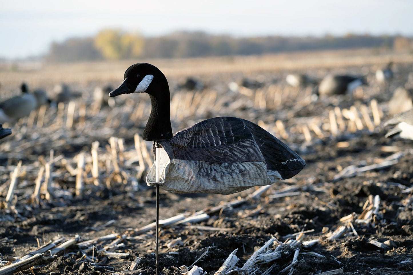 3D Canada Goose Slammer Sock – 12 Pack w/ Flocked 3d Head