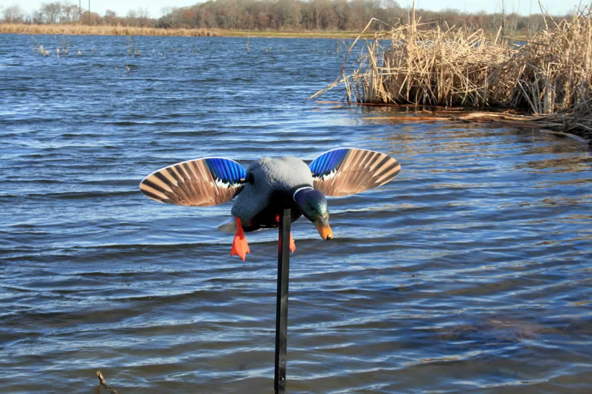 MOJO Elite Series - Mini Mallard Drake w/ Remote