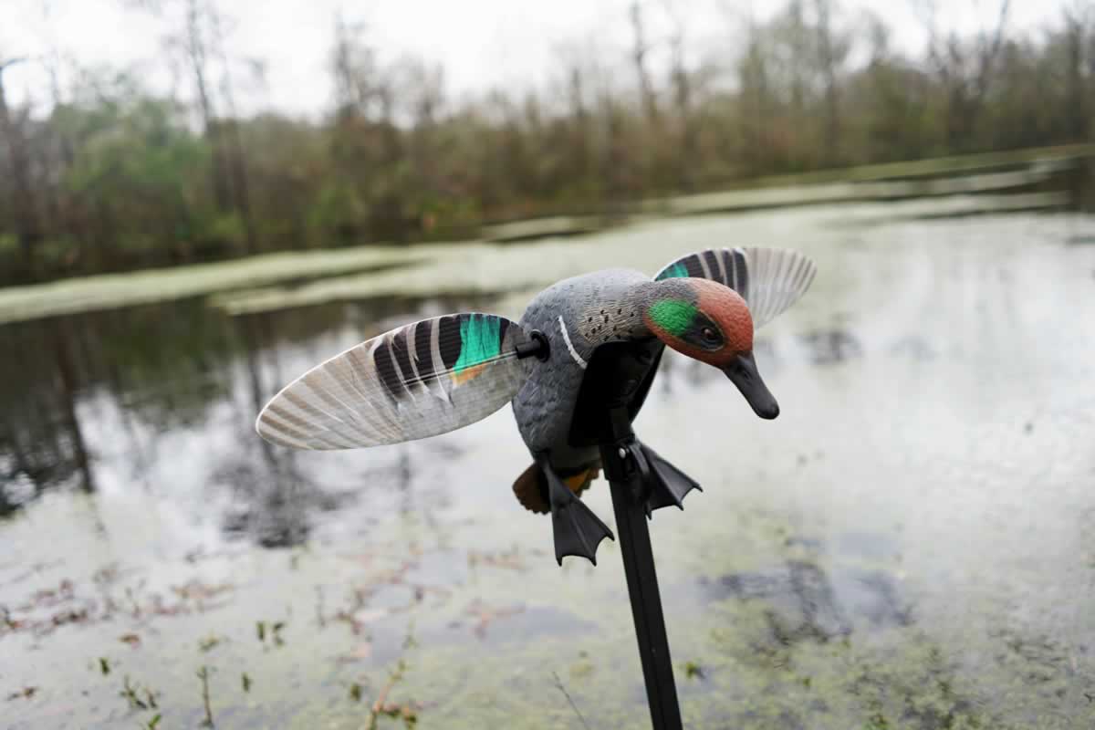 MOJO® Elite Series™ - Green Wing Teal - Remote Ready