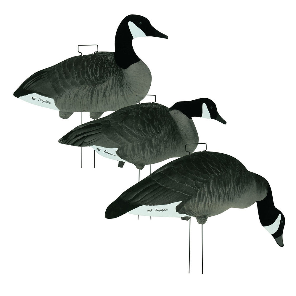 Tanglefree Fully Flocked Canada Skinny Decoys