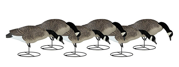 Dakota Decoy Signature Series Feeder Geese - 6 Pack