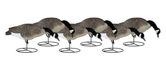 Dakota Decoy Signature Series Feeder Geese - 6 Pack