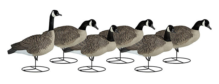 Dakota Decoy Signature Series Upright Geese