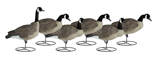 Dakota Decoy Signature Series Upright Geese