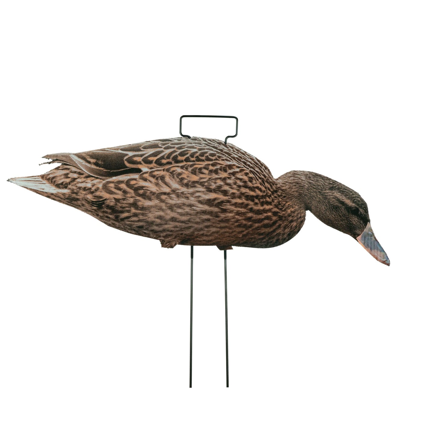 Tanglefree Fully Flocked Mallard Skinny Decoys