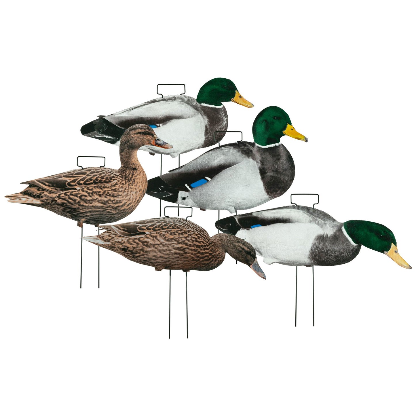 Tanglefree Fully Flocked Mallard Skinny Decoys