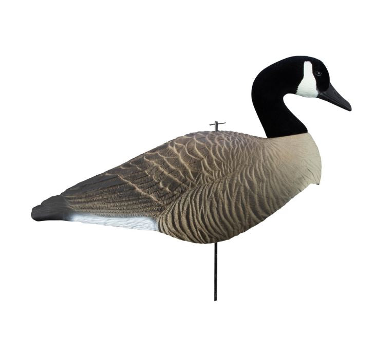 Alpha Wobbler, Magnum Canada Full Form Shell Variety Pack (6pk)