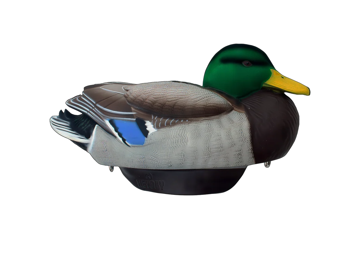 Hayday Decoys Hydro Foam Flocked Mallards