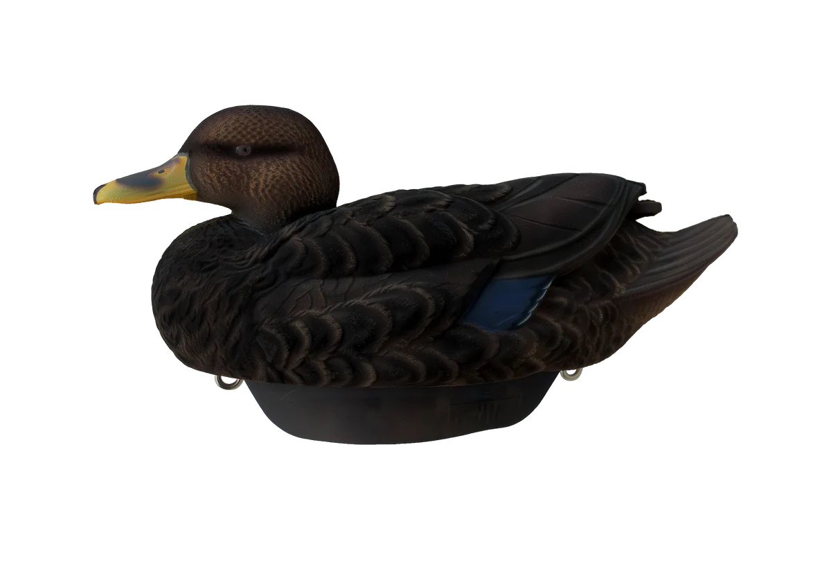 Hayday Decoys Hydro Foam Fully Flocked Black Ducks