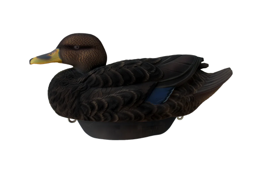 Hayday Decoys Hydro Foam Fully Flocked Black Ducks