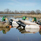 Battleship Mallard