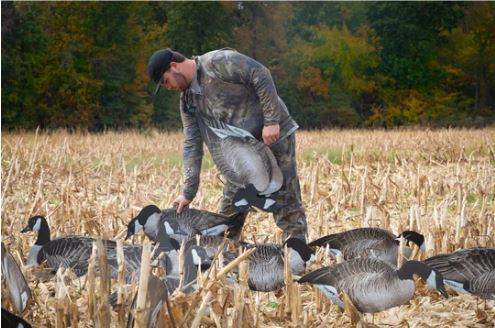 HIGDON FLATS CANADA GOOSE STANDARD SILHOUETTE 12 PACK