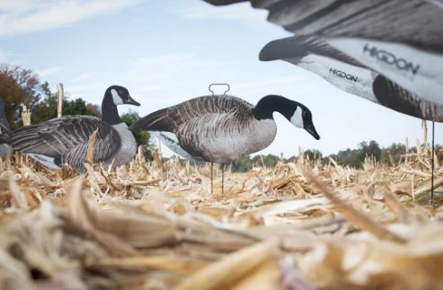 HIGDON FLATS CANADA GOOSE STANDARD SILHOUETTE 12 PACK