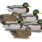 LEGACY MAG MALLARD