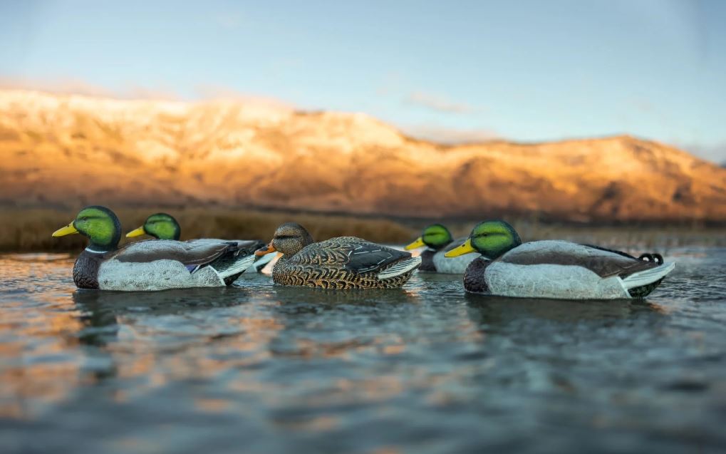 LEGACY MAG MALLARD