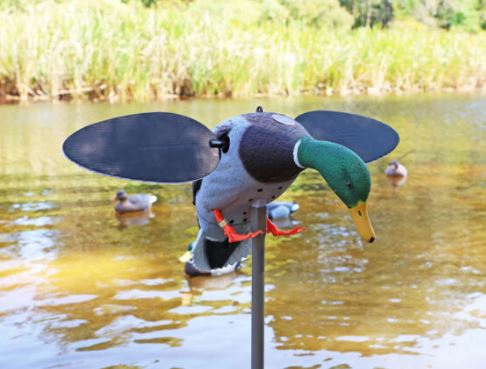 MOJO® Silver Mallard Duck – 25th Anniversary