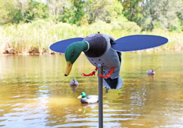 MOJO® Silver Mallard Duck – 25th Anniversary