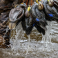 Hayday Decoys HydroFoam Black Ducks
