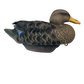 Hayday Decoys HydroFoam Black Ducks