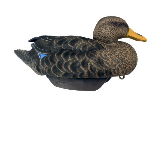 Hayday Decoys HydroFoam Black Ducks
